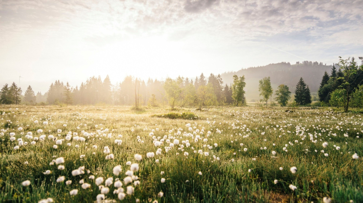 Erlebnis Biosphäre Entlebuch Hotel Montana Luzern